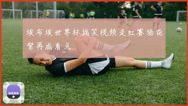埃布埃世界杯搞笑视频走红赛场花絮再成看点
